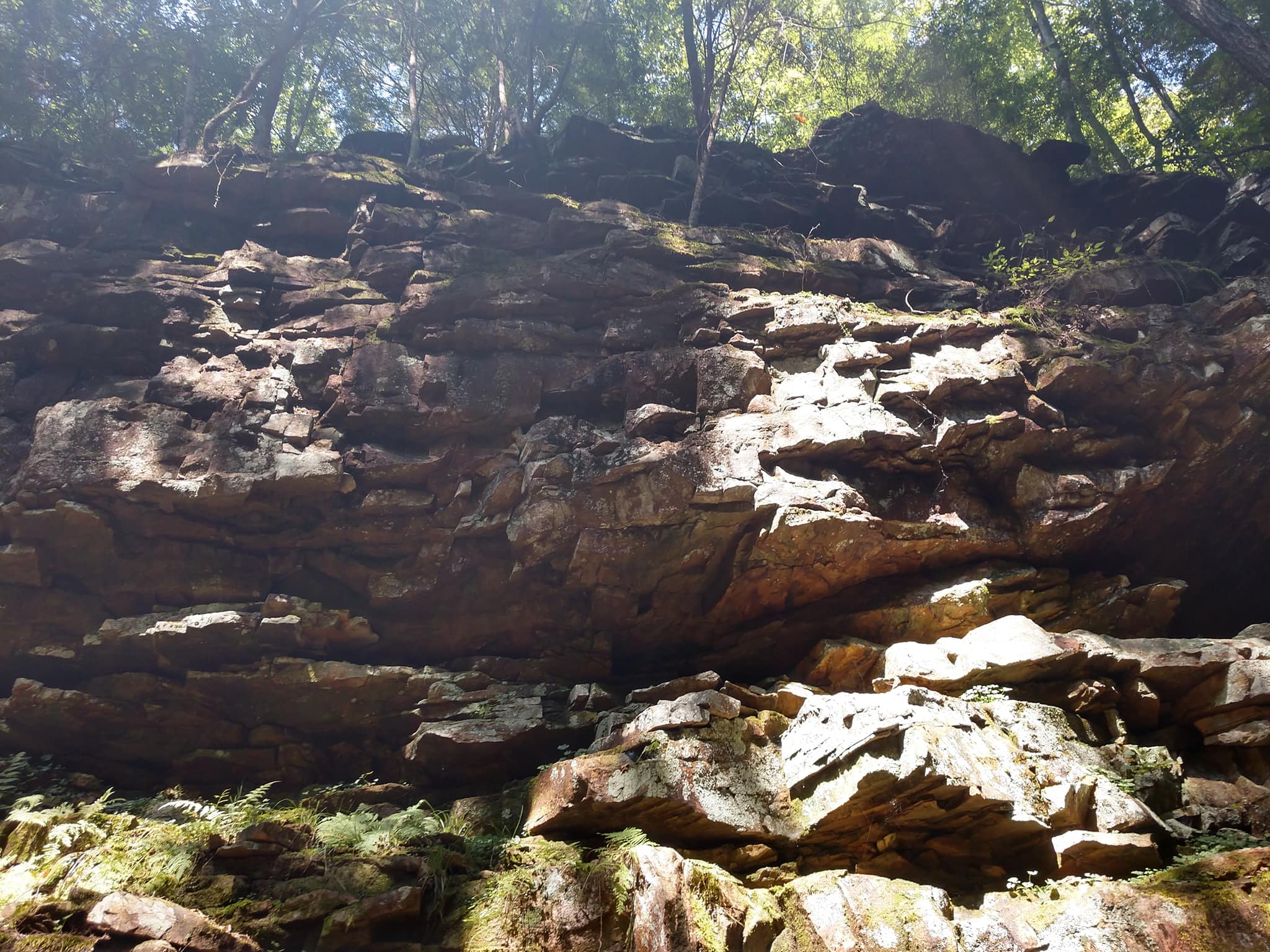 42278076_10209535064252812_5513444655972220928_o