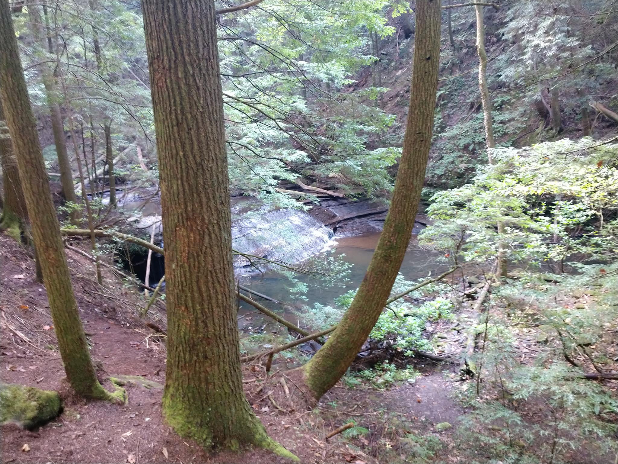 42322645_10209535069972955_1650826686591139840_o