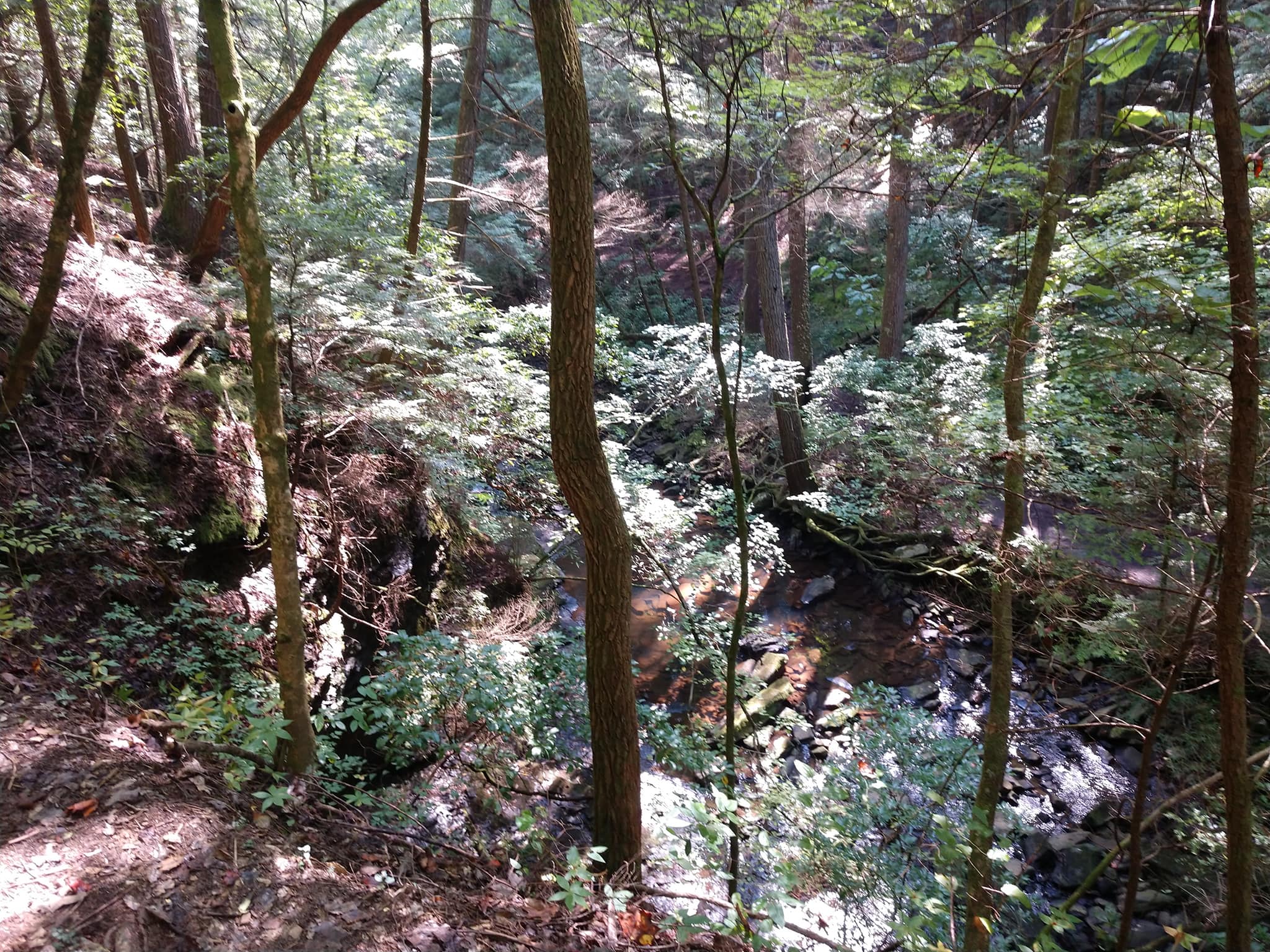 42325063_10209535065932854_8568383296512196608_o