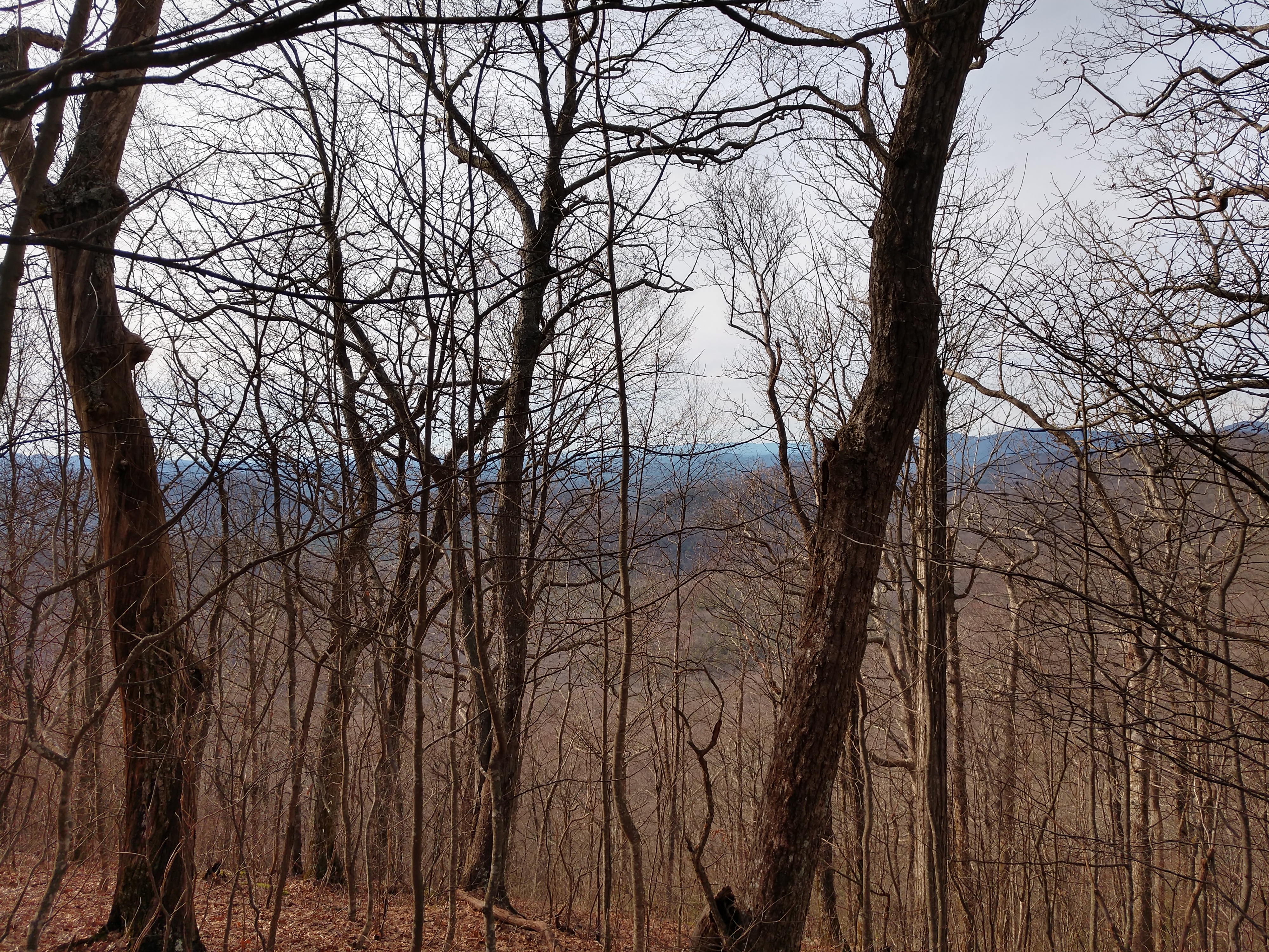 IMG_20181229_142804129_HDR