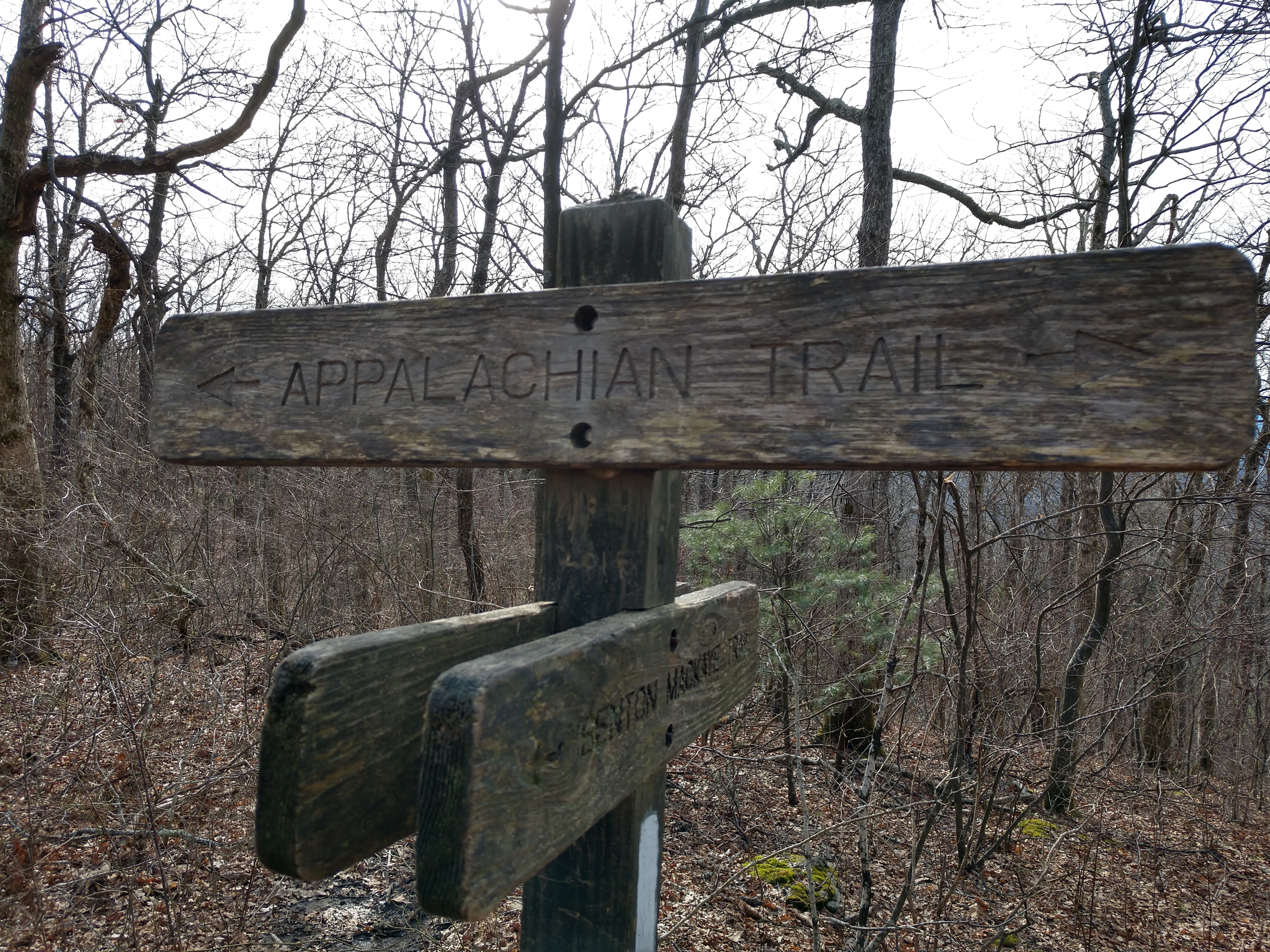 IMG_20181229_145251447_HDR