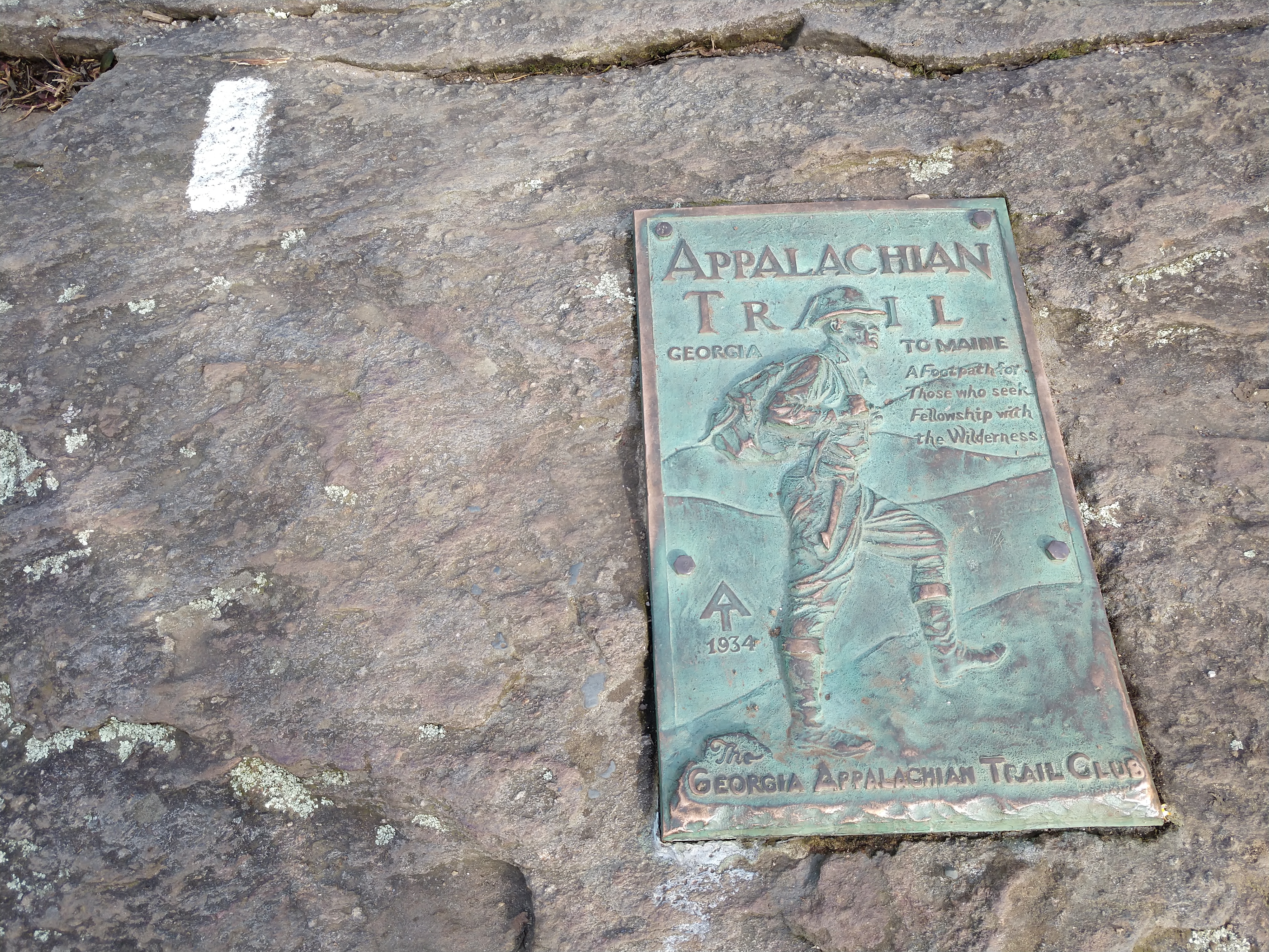 IMG_20181229_150218204