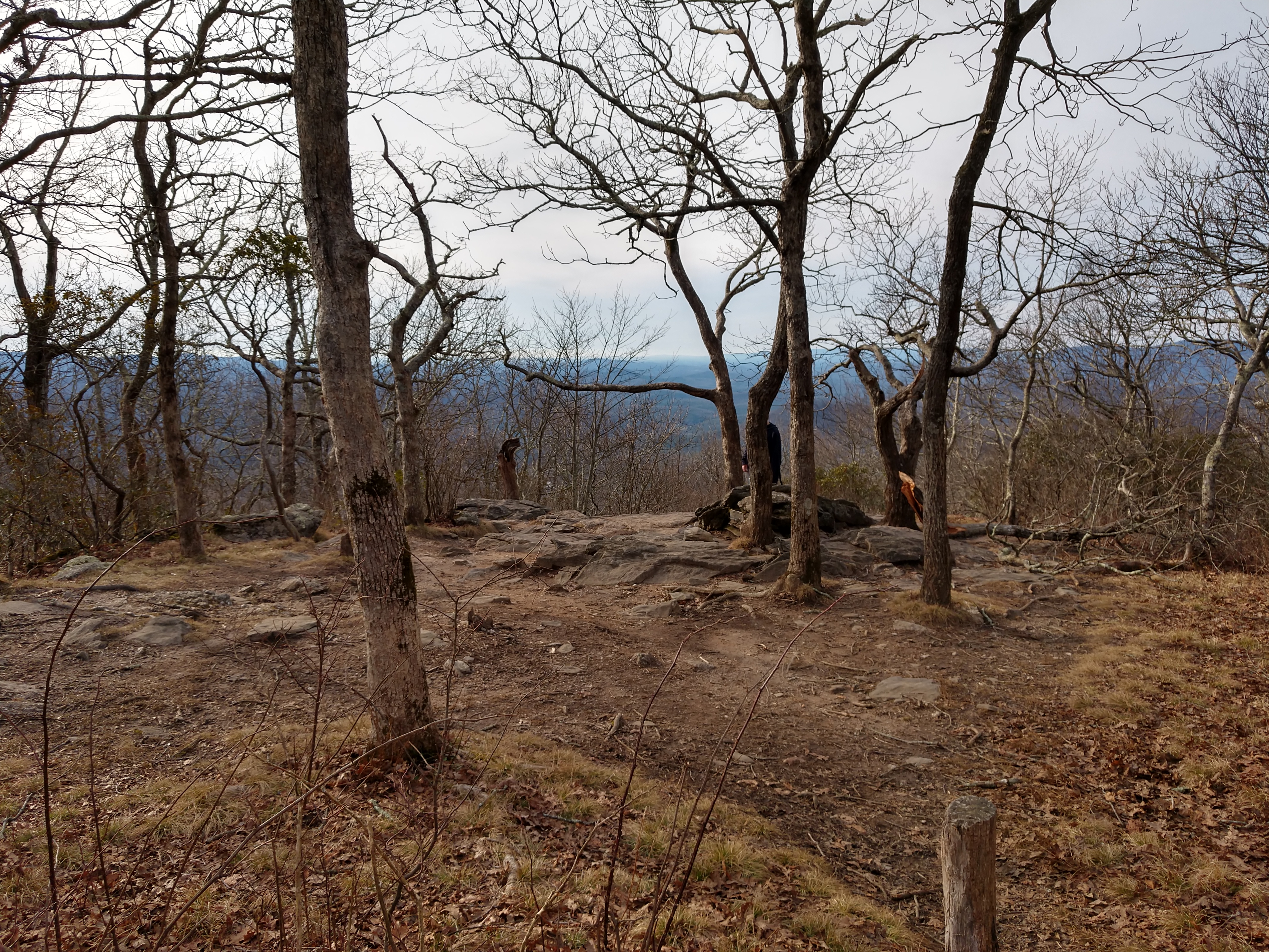 IMG_20181229_150545214_HDR