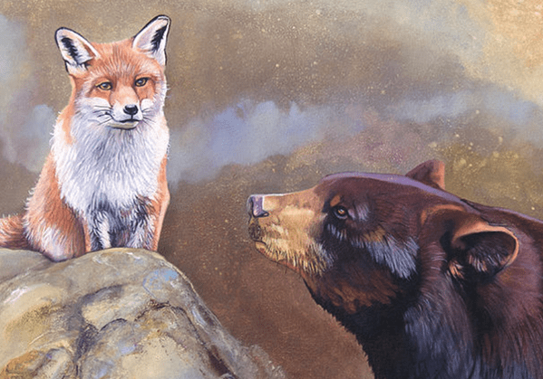 Bear and Fox
